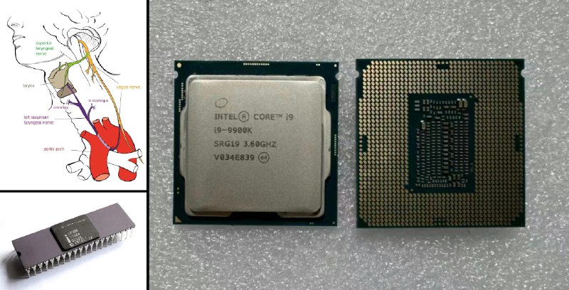 云中月 (@MoonAtCloud)